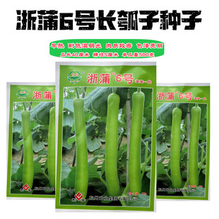 浙蒲6号瓠子瓜种子长棒早生瓢子瓜籽四季长短蒲瓜春夏秋冬蔬菜籽