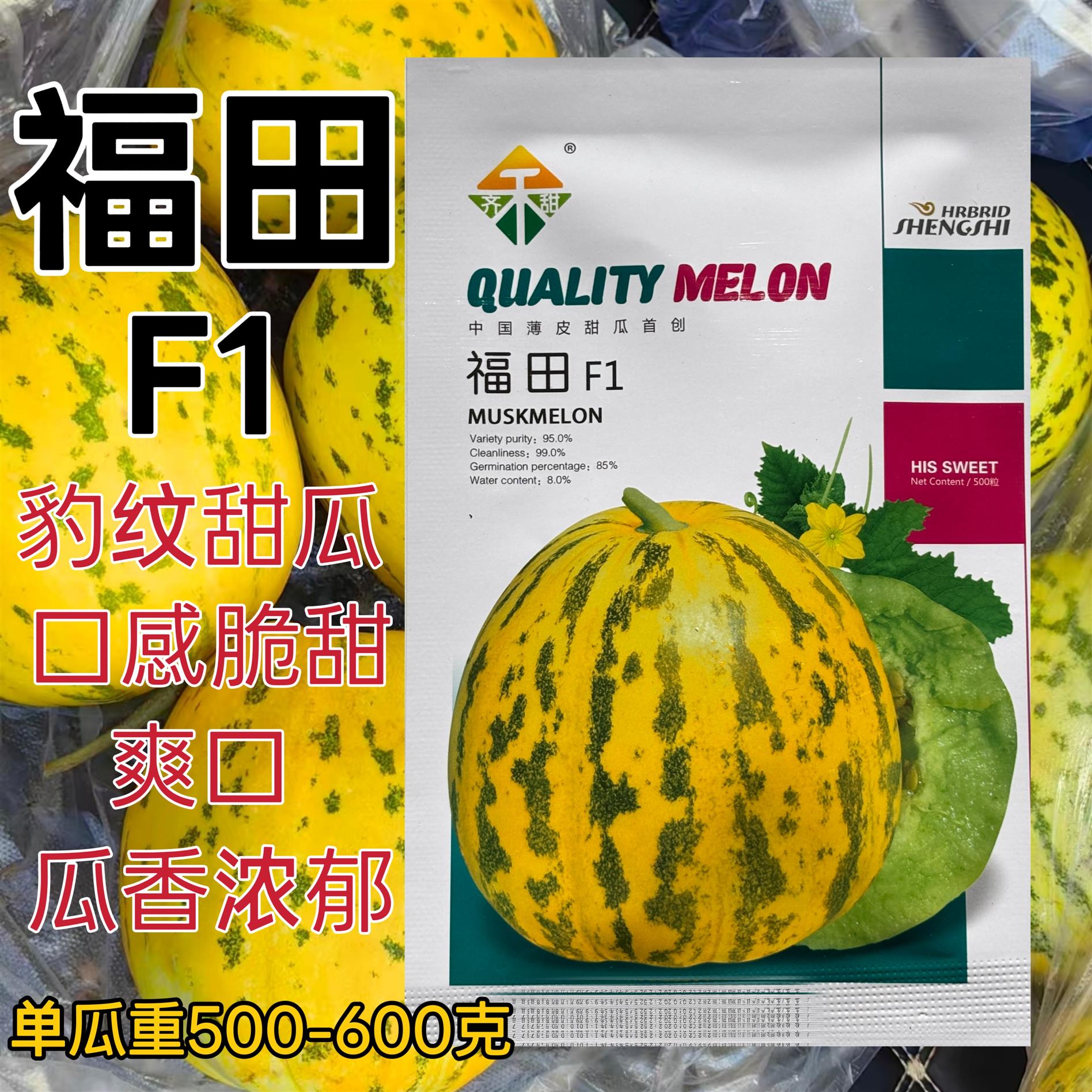 福田甜瓜种子花皮香瓜甜瓜种子早熟高糖果实萍果型肉脆甜爽口香瓜