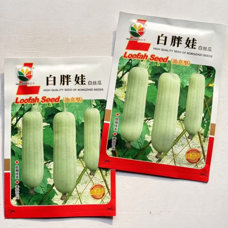 农之子白胖娃油亮白丝瓜种子短棒肉丝瓜种籽春夏秋季育苗播种蔬菜