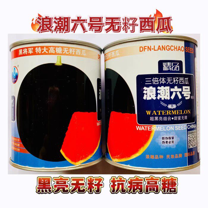 浪潮六号黑皮红瓤无籽西瓜种子籽特大巨型水果春季四季蔬菜种孑