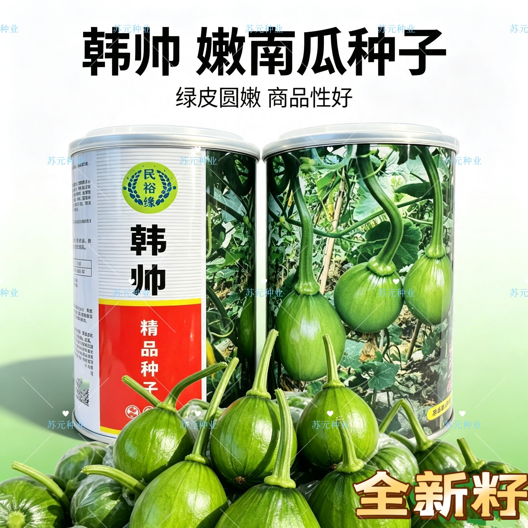 韩帅嫩南瓜种子早熟圆形贵阳小青瓜口感细腻脆甜皮嫩绿膨瓜快高产