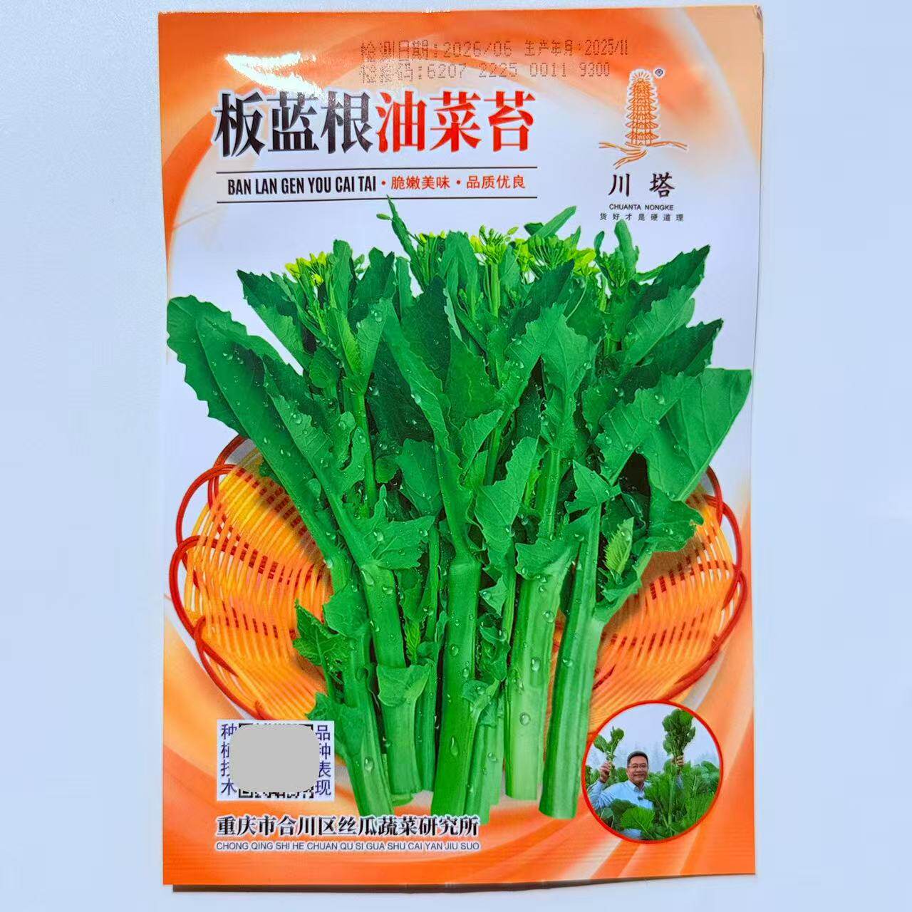 板蓝根油菜苔种子杂交高产抗病油菜苔种籽农家春秋播蔬菜种籽孑子