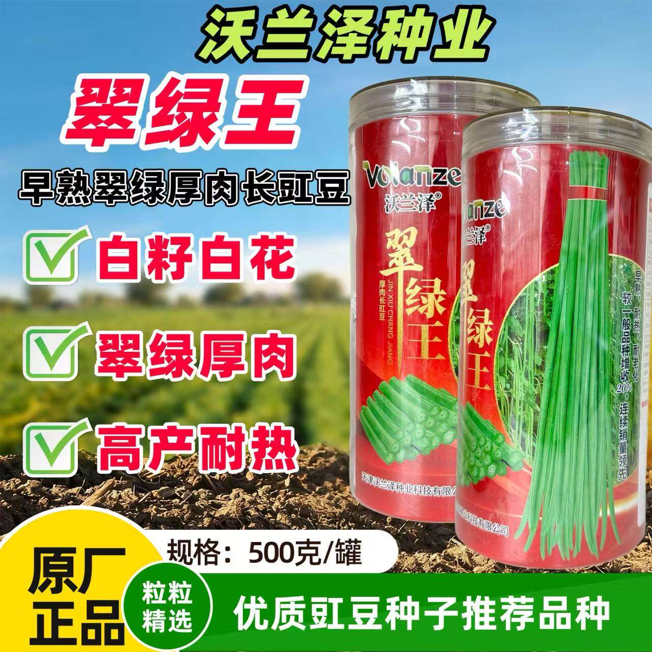 沃兰泽翠绿王豇豆种子长豆角种子 油绿翠绿抗病高产芸豆角大田播