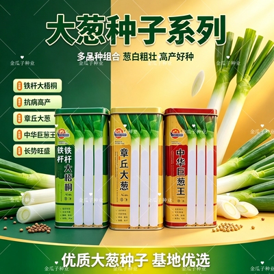 中华巨葱王大葱种子高产抗病抗倒伏抗热抗铁杆大梧桐章丘大葱种子