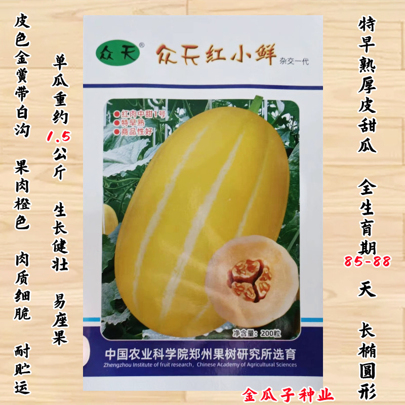 众天红小鲜黄皮甜瓜种子 桔红肉黄金蜜香瓜籽春季夏季秧苗水果种