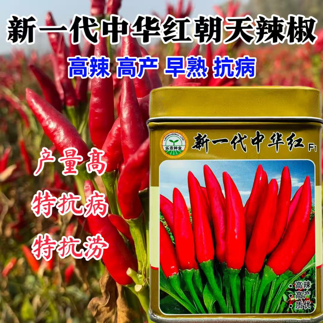 新一代中华红超辣朝天椒红辣椒种子高产农家种籽小米早熟蔬菜种子