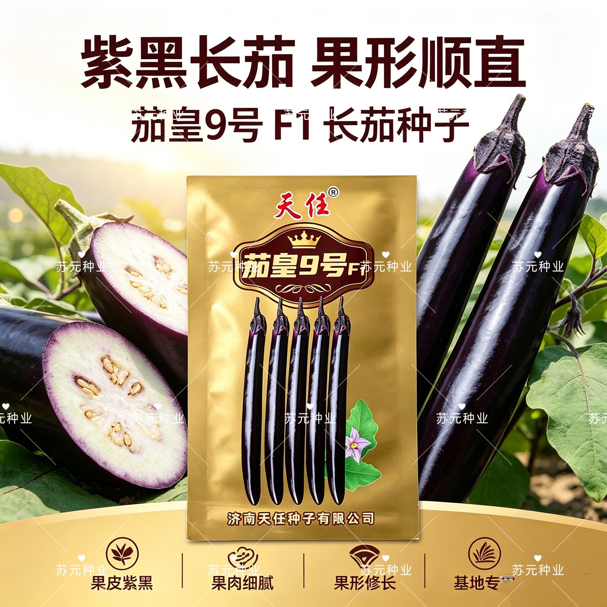 天任茄皇9号长棒形茄子种子5g中早熟黑皮长线茄种籽 籽少细长茄籽