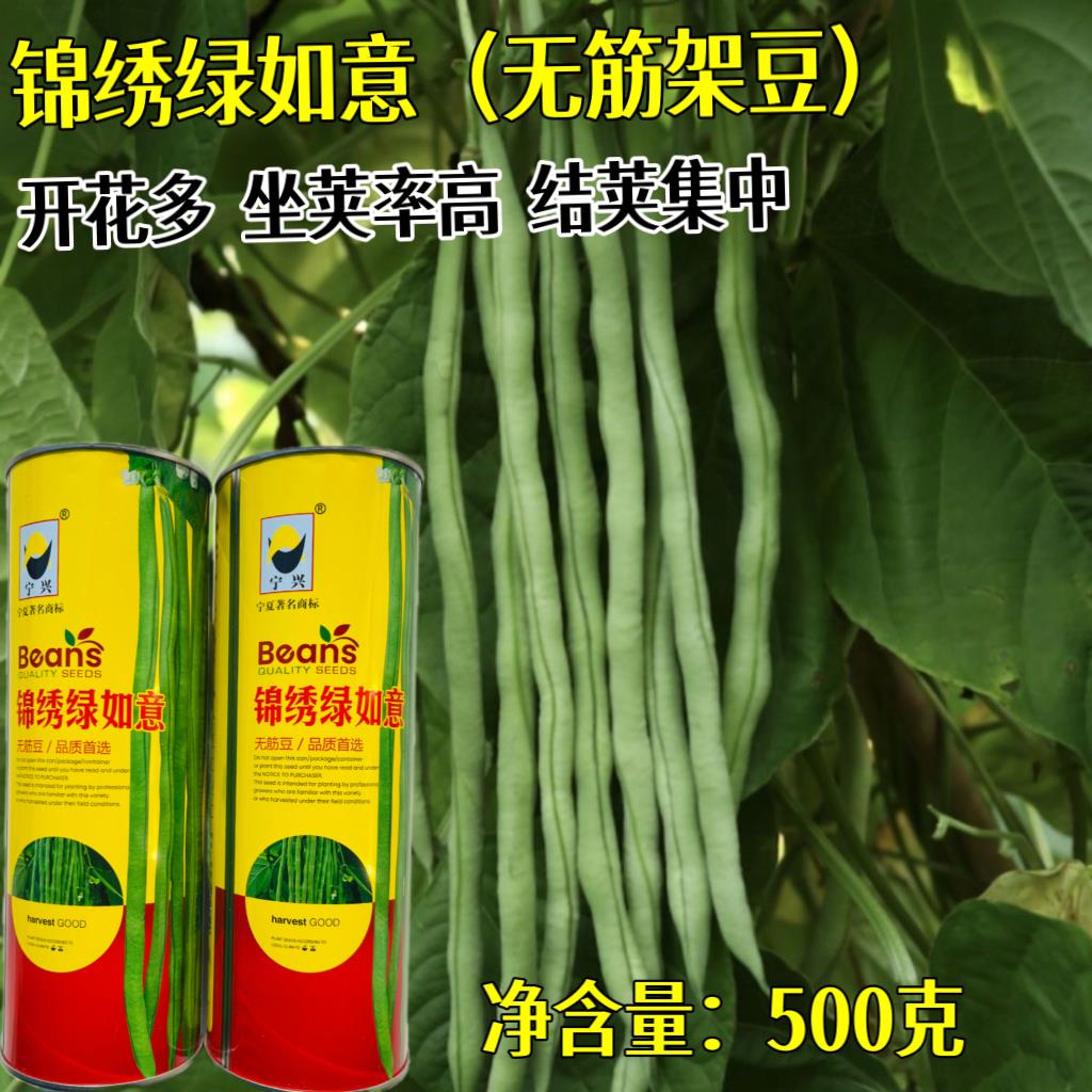 锦绣绿如意无筋架豆种子农家春秋播四季豆种籽无纤维肉厚菜豆种子
