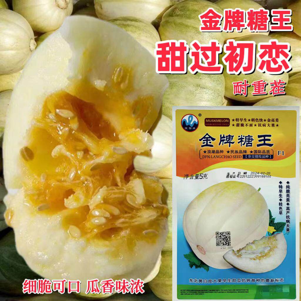 金牌糖王甜瓜薄皮高糖酥脆爽口
