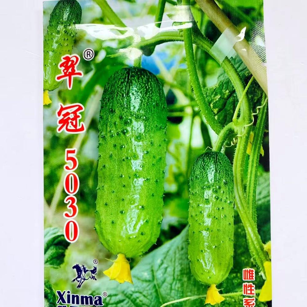 翠冠5030黄瓜种子嫩绿皮口感好一代杂交新品种黄瓜种籽春秋季播种