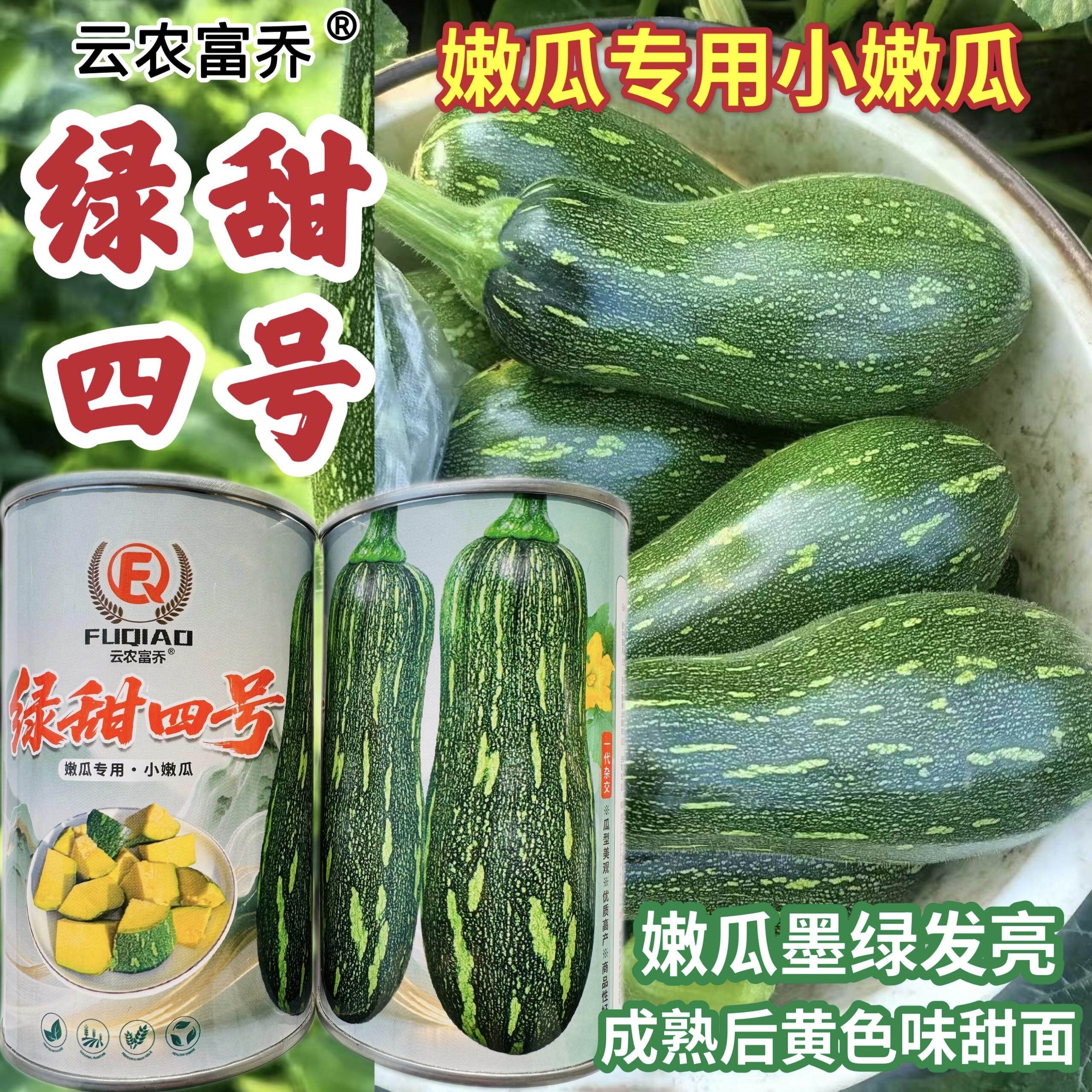 绿甜四号小嫩瓜种子早熟条形嫩南瓜种籽春秋两季播蔬菜种孑