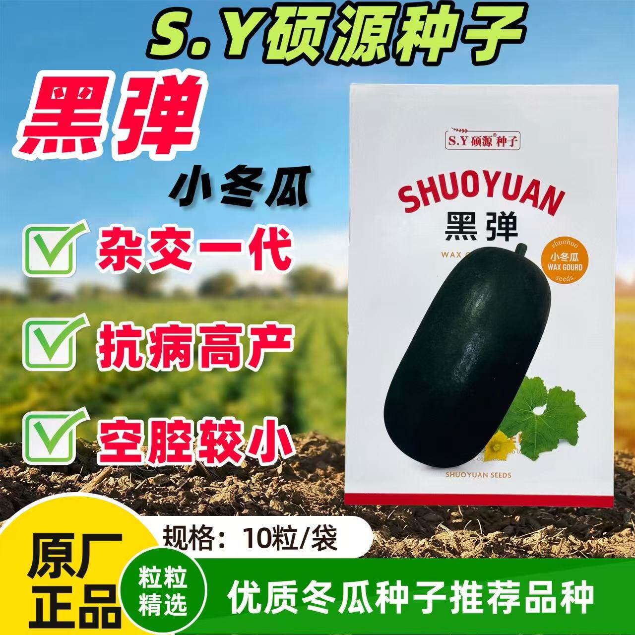 正品硕源黑弹小冬瓜种子黑皮迷你型东瓜种籽黑皮小冬瓜青皮小冬瓜