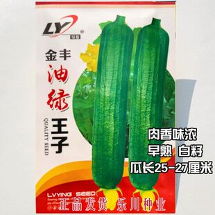 台湾长寿仁豌豆种子甜脆青碗豆种籽青豆基地四季秋冬季蔬菜种子孑