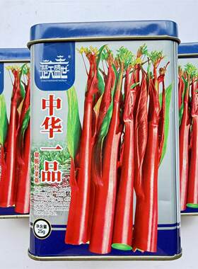 贵州红菜苔楚天盛世中华一品武汉红菜苔种子抗病高产早熟种子