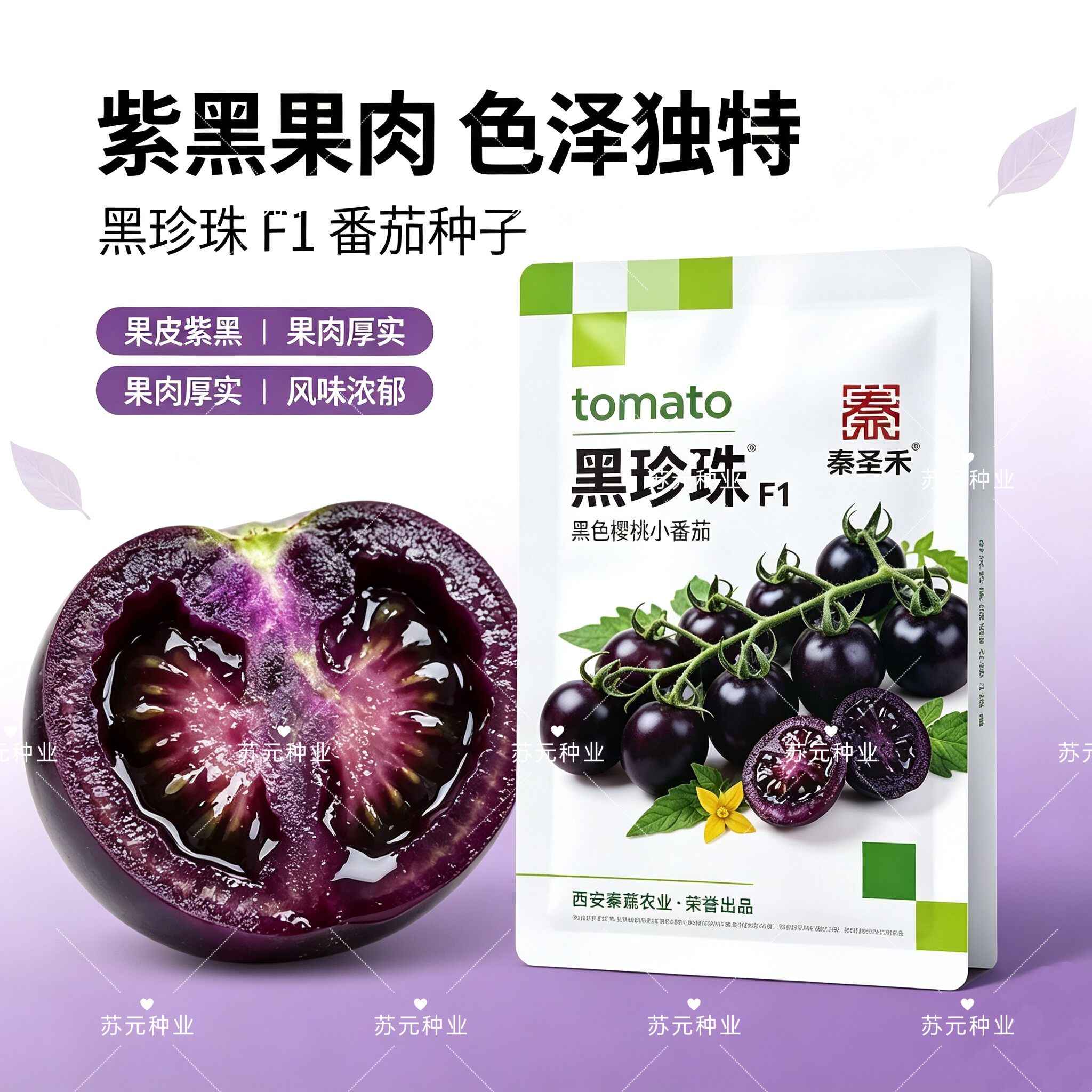 正宗黑珍珠番茄种子樱桃番茄圣女果籽小西红柿黑柿子种子春夏季播