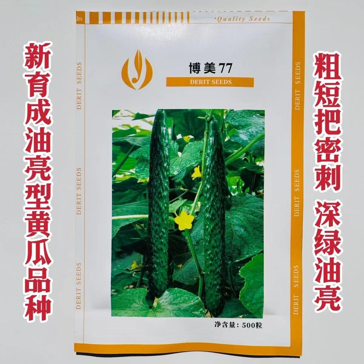 博美77黄瓜种子耐热深绿油亮密刺黄瓜种籽春夏秋粗短把长黄瓜种子