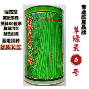 西龙翠美6号豇豆种子高产耐热耐湿油亮翠绿长豆角种籽春秋蔬菜孑