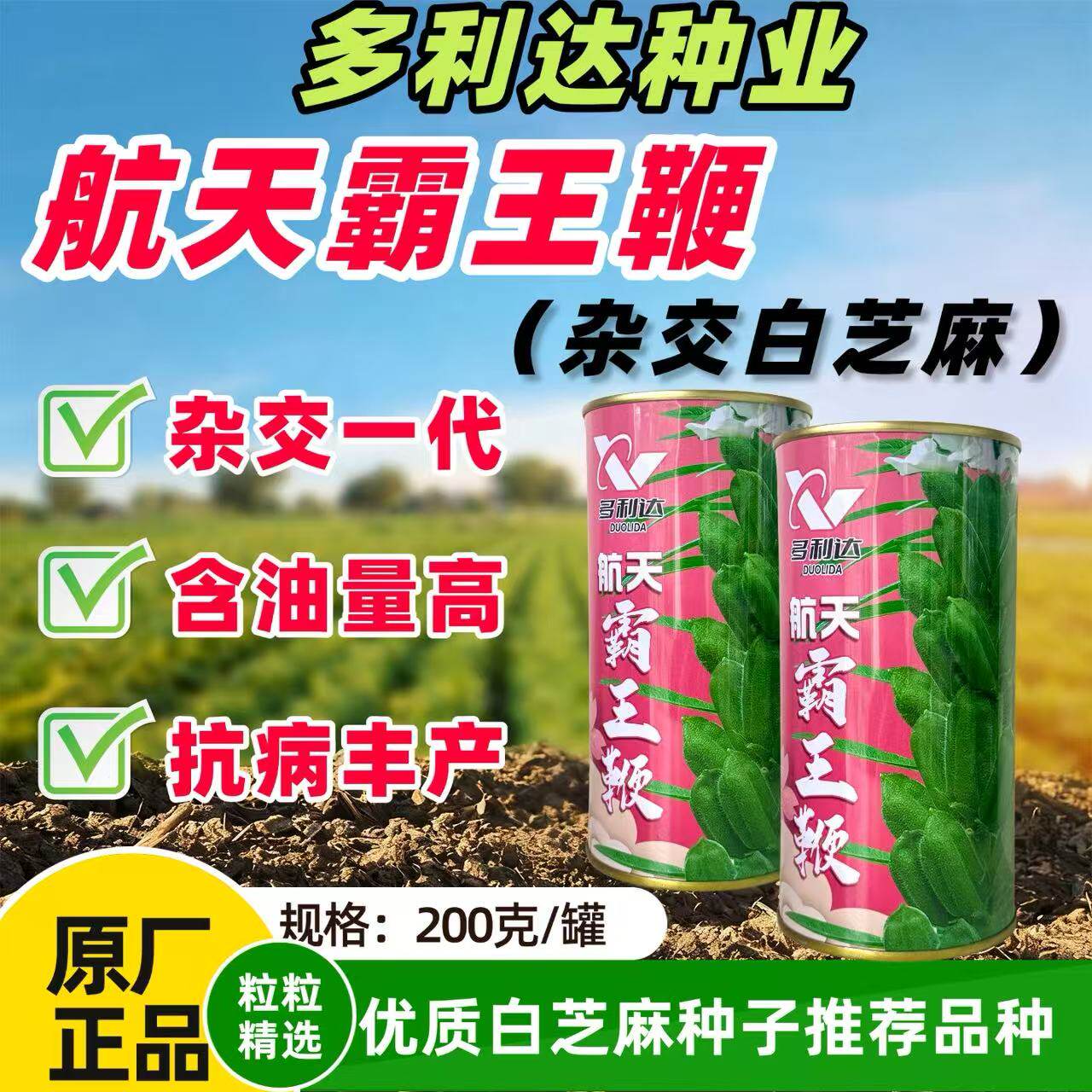 航天霸王鞭芝麻种子高油高产白芝麻种籽杂交大田矮杆含油率高种子