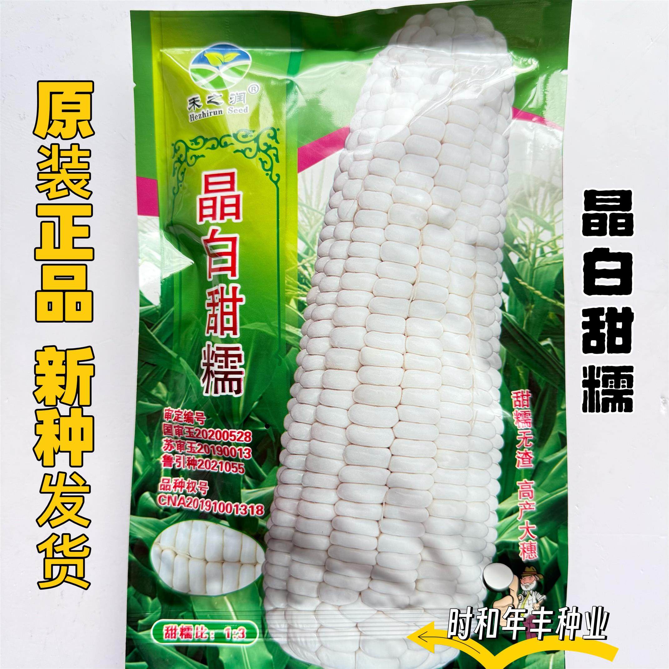 晶白甜糯玉米种子早熟高产大棒甜糯粘玉米苞谷种籽国审抗病高产种