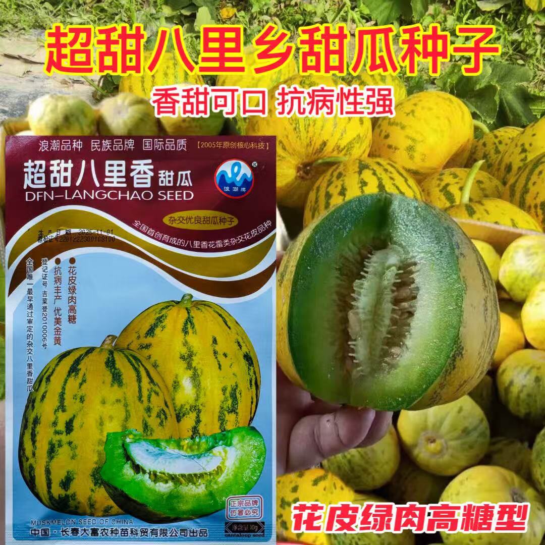 大富农种苗超甜八里香甜瓜种子花皮绿肉香酥甜审定香瓜种子