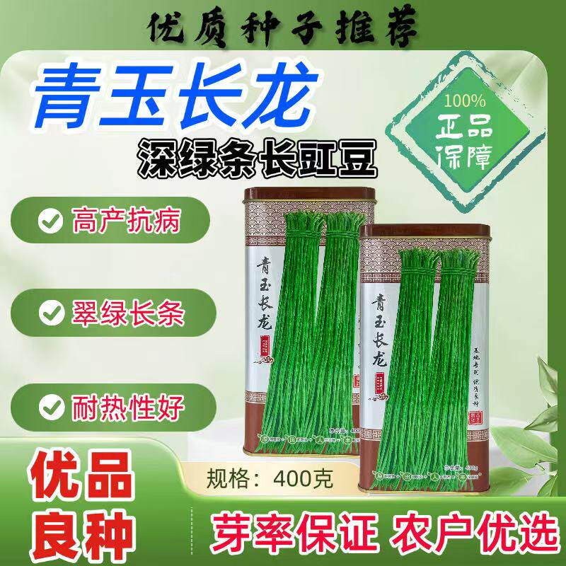 青玉长龙豇豆种子深绿条长豆角种籽高产抗病耐热肉厚春秋播蔬菜孑