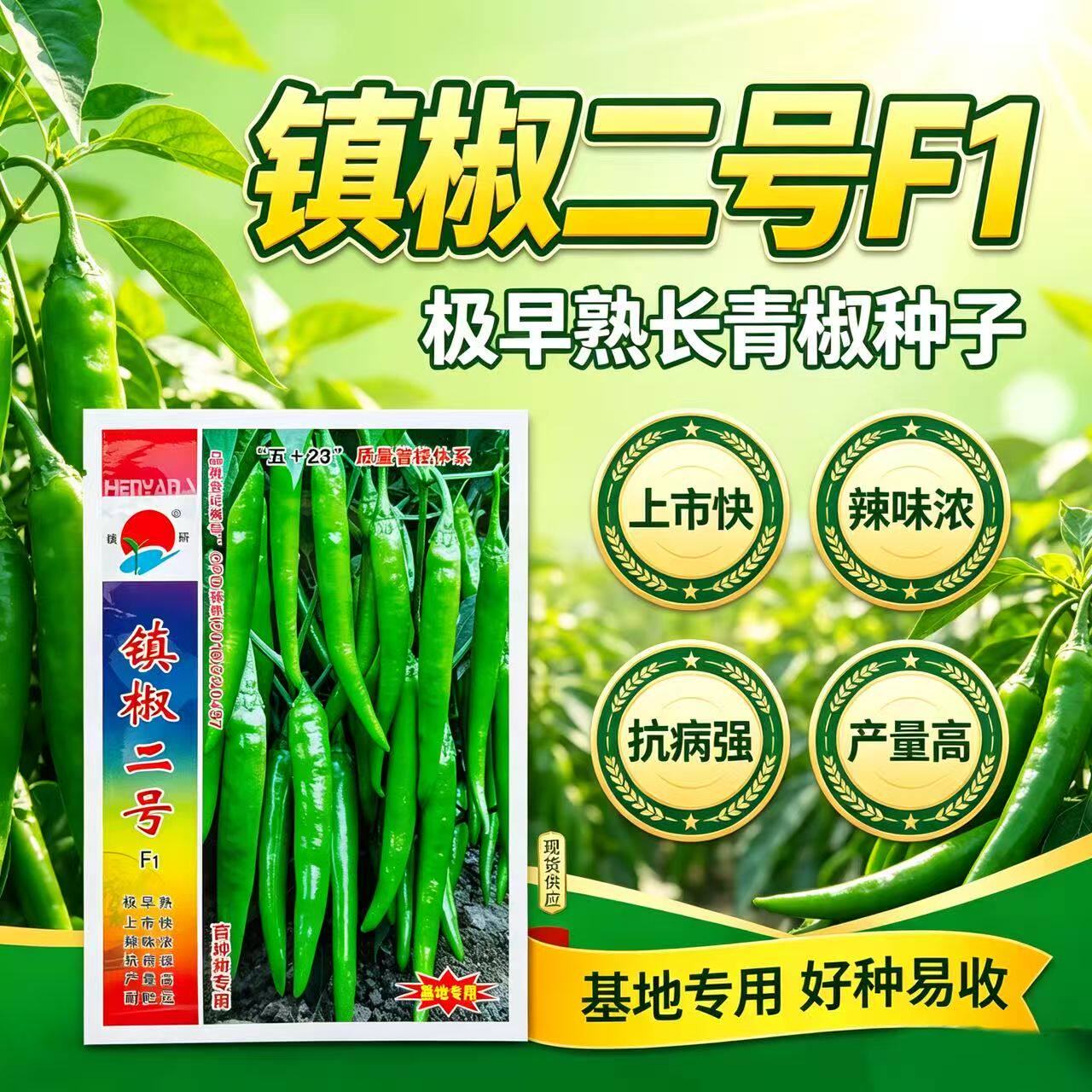 镇研镇椒二号杂交辣椒种子羊角形椒条顺直早熟辣味浓辣椒种籽