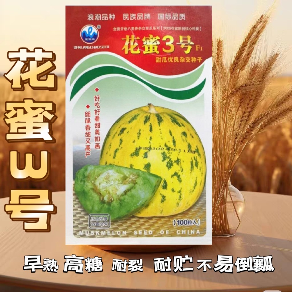 花蜜3号甜瓜种子高糖杂交八里香甜瓜种子细脆香甜花皮甜瓜种子