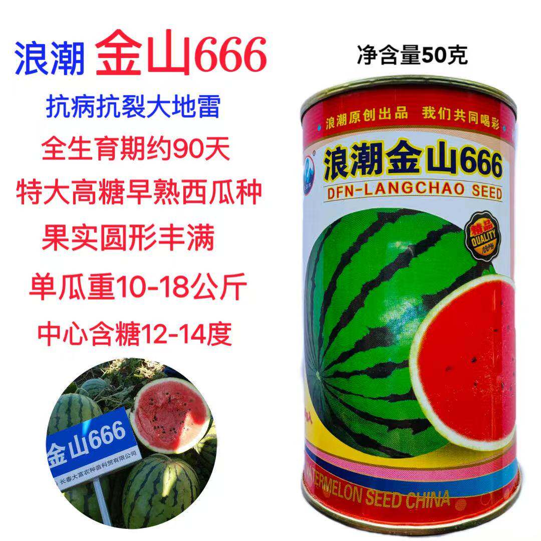 大富农浪潮金山666西瓜种子早中熟大果抗病红瓤耐重茬抗旱圆形50g