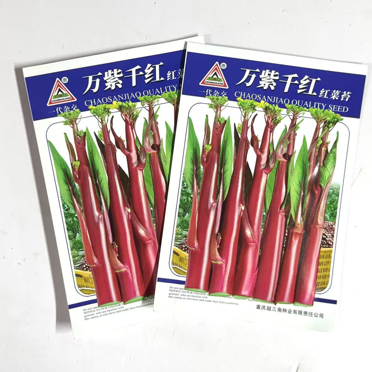 万紫千红红菜苔种子红菜心洪山菜苔种籽耐寒抗病中早熟菜薹种籽