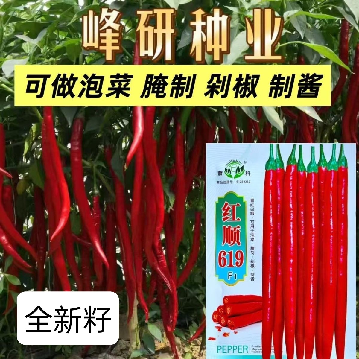 红顺619辣椒种子香辣王线椒种籽杭椒早熟高产四季播大田蔬菜种子