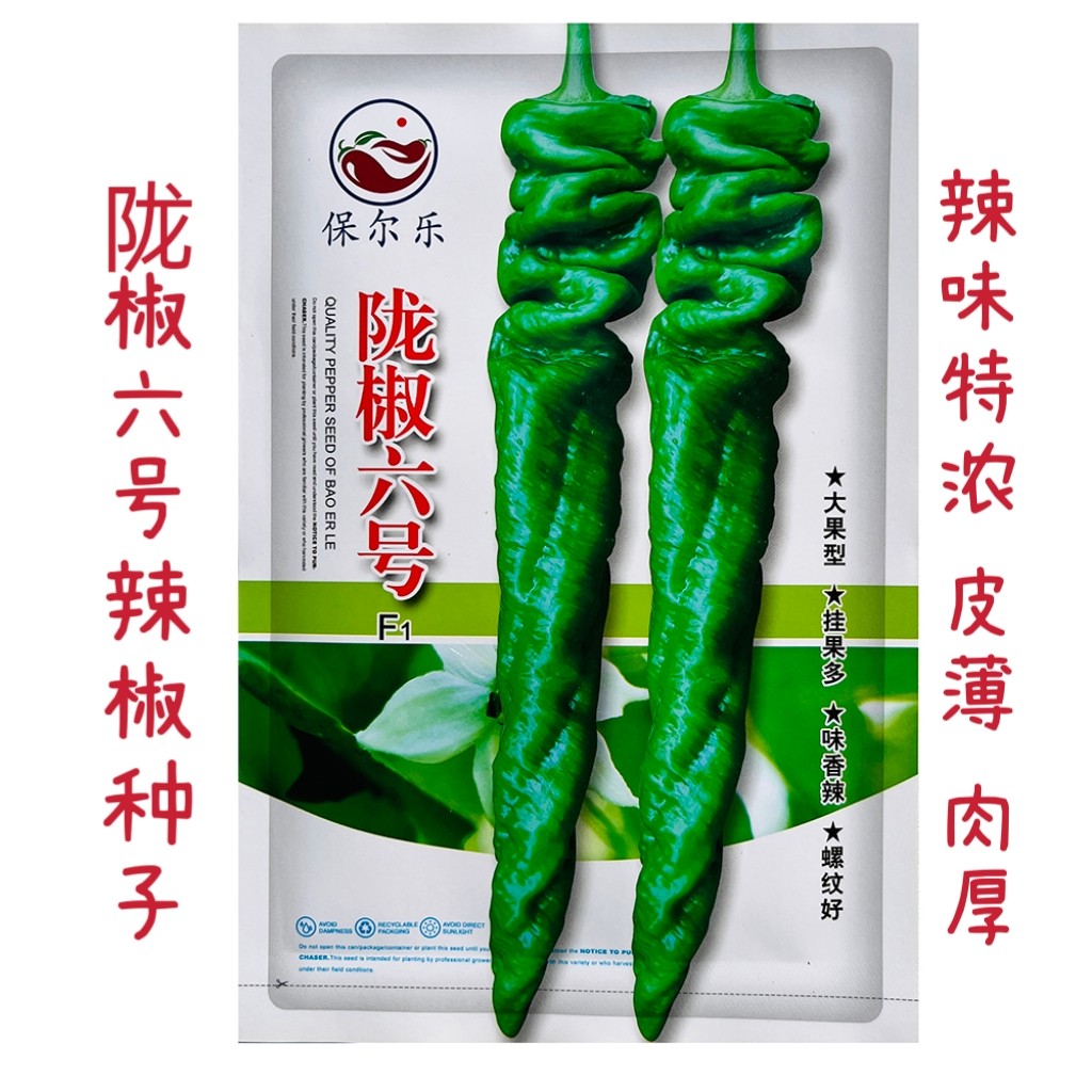 辣椒种子陇椒六号螺丝椒种籽大果型辣味浓皮薄肉厚春秋播辣椒种孑