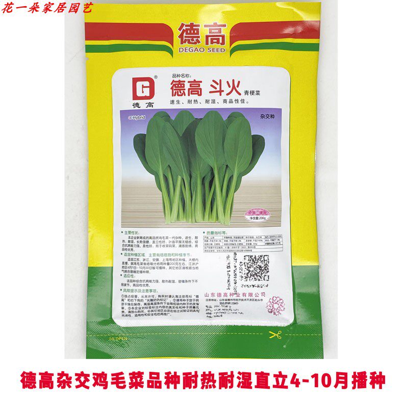 杂交鸡毛菜种籽高产耐热耐湿速生铁杆上海青鸡毛菜小青菜种子