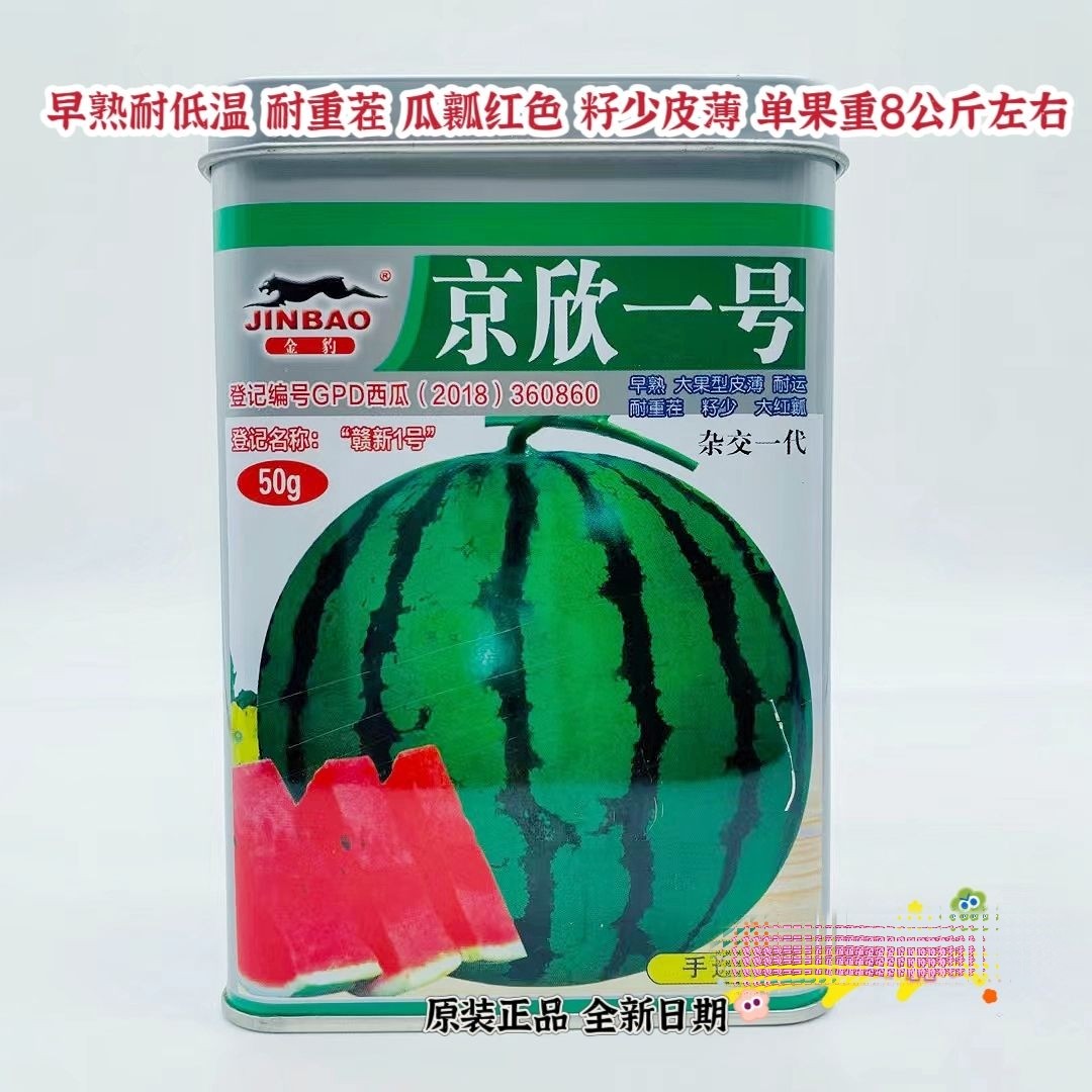 赣新京欣一号二号西瓜种籽西瓜种子耐重茬抗病早熟皮薄少籽耐高温