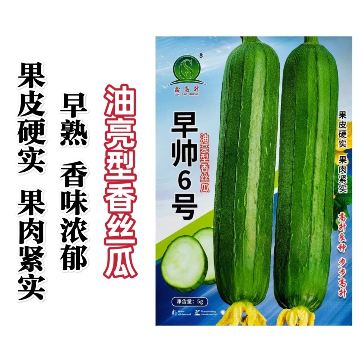 早帅6号丝瓜种子早熟一代杂交油亮大肉丝瓜种籽短棒油皮丝瓜种子