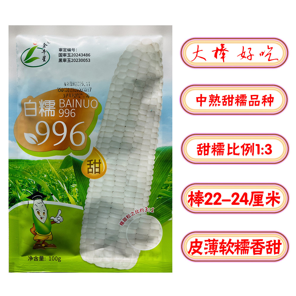 白糯996甜糯玉米种子大棒好吃粘苞米籽甜加糯薄皮香甜白糯玉米种