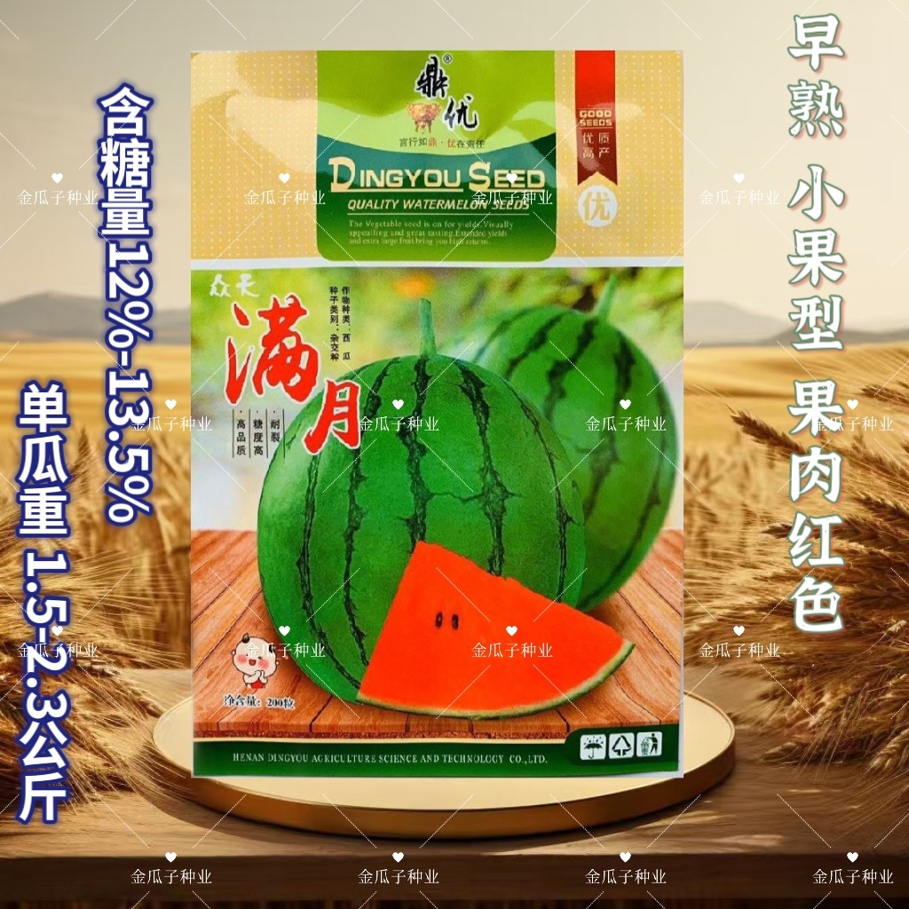 鼎优满月西瓜种子早熟小果型礼品西瓜种籽圆形水果红瓤春播耐裂