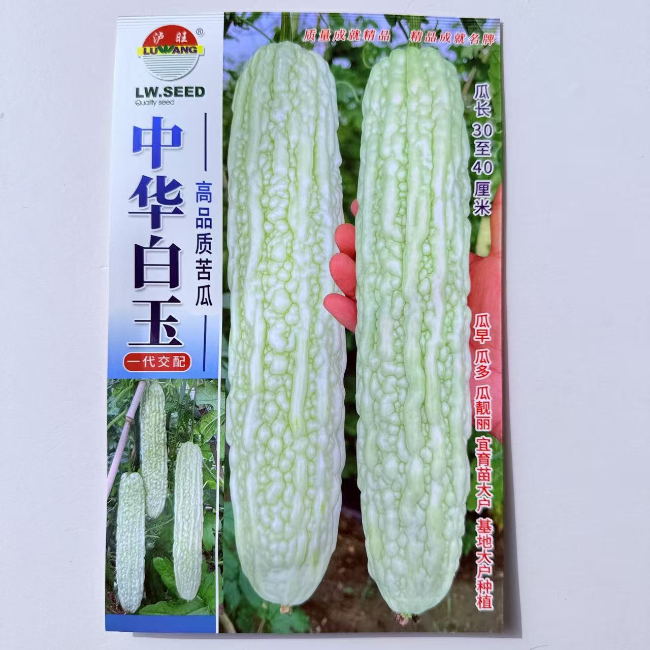 特长香丝瓜种子早熟抗病微皱耐热