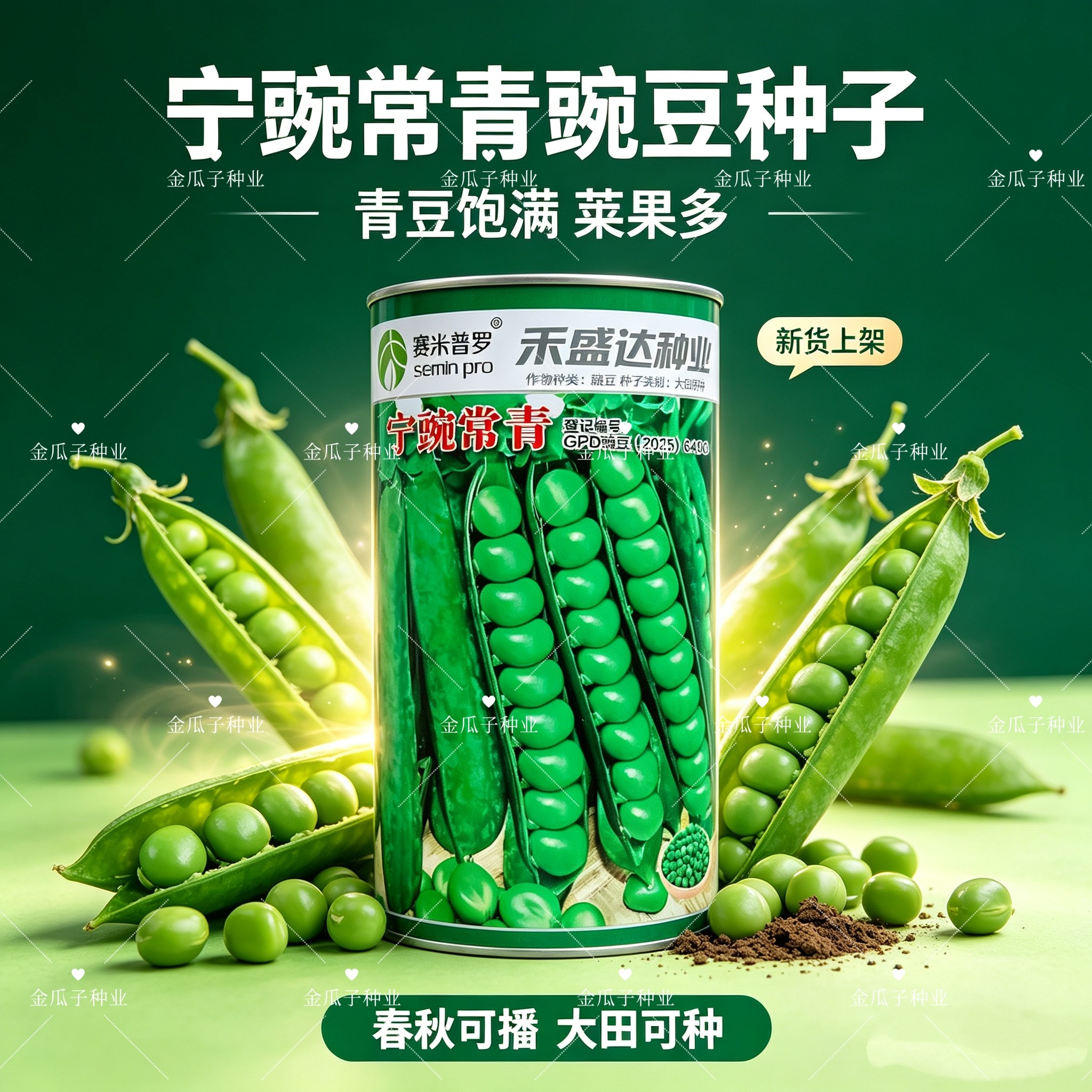 宁豌常青水果豌豆种子半蔓性荚型肥厚饱满花白色大粒优质豌豆种籽