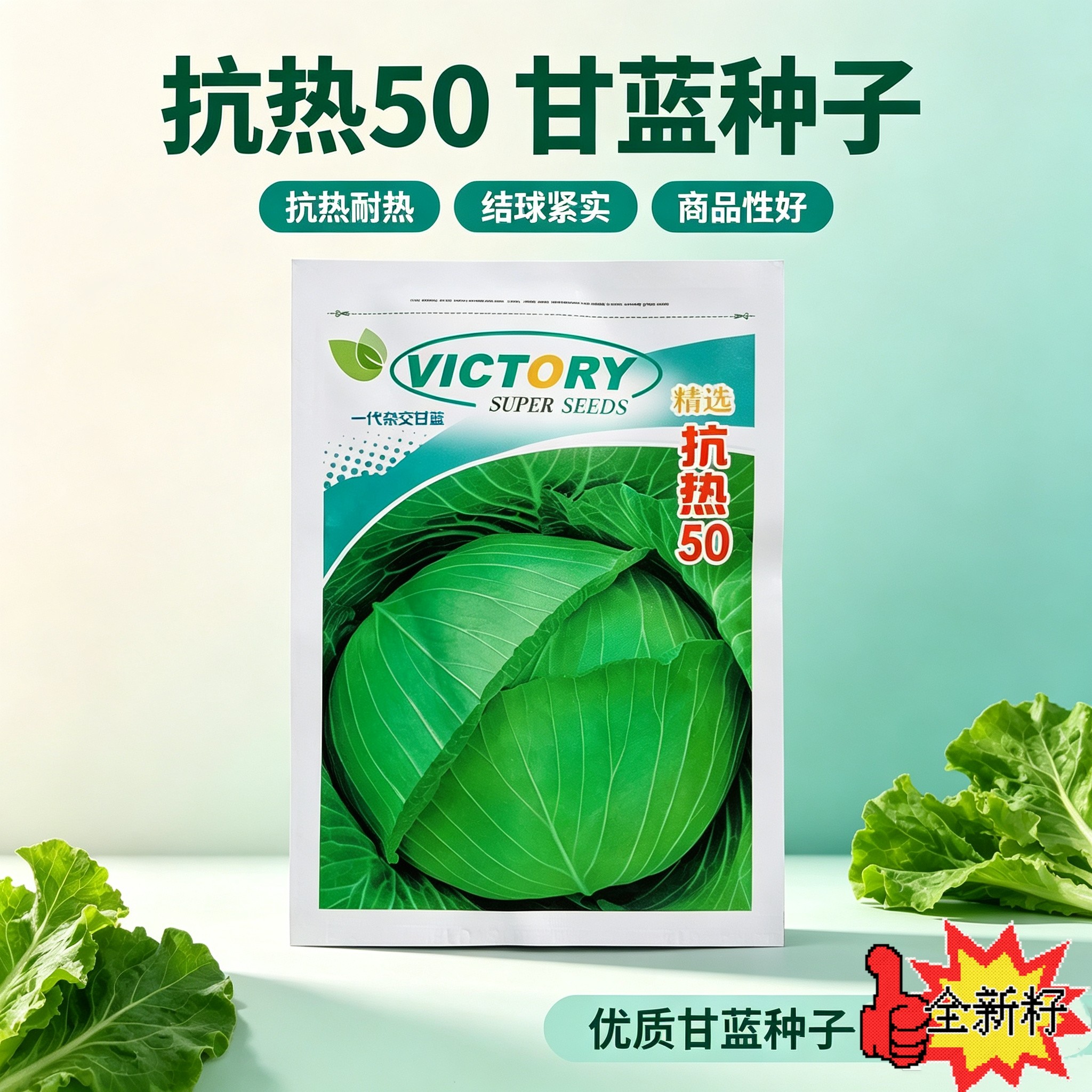 邢蔬抗热50甘蓝种子扁包菜种子耐热夏秋结球甘蓝莲花白种子包头菜