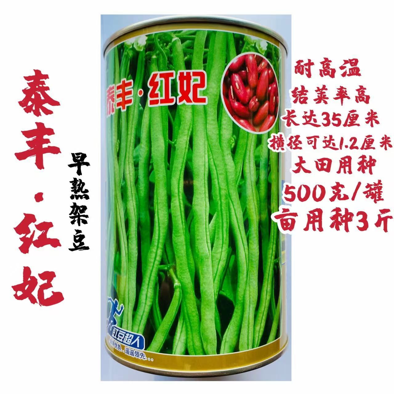 泰丰红妃无筋架豆种子早熟高产结荚多四季豆种籽农家大田春秋季播