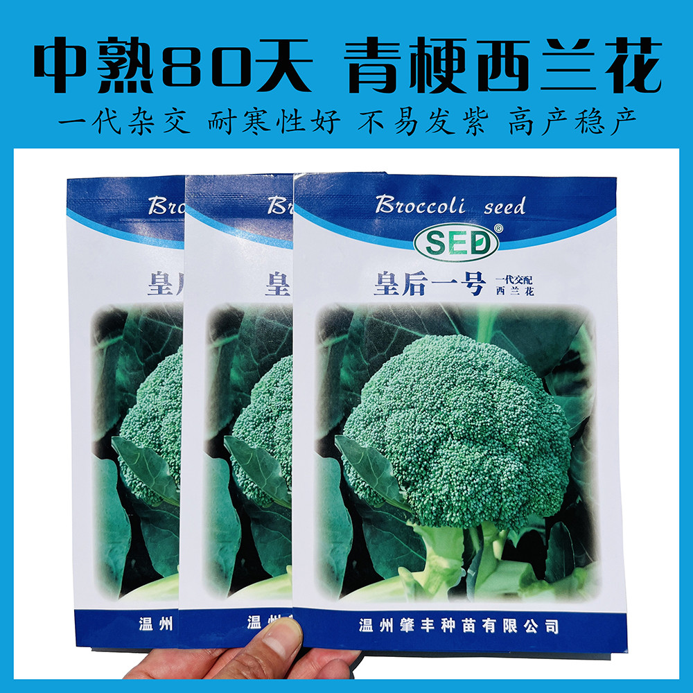 皇后一号西兰花种子明珠西兰花种籽青花菜籽花菜籽西蓝花四季