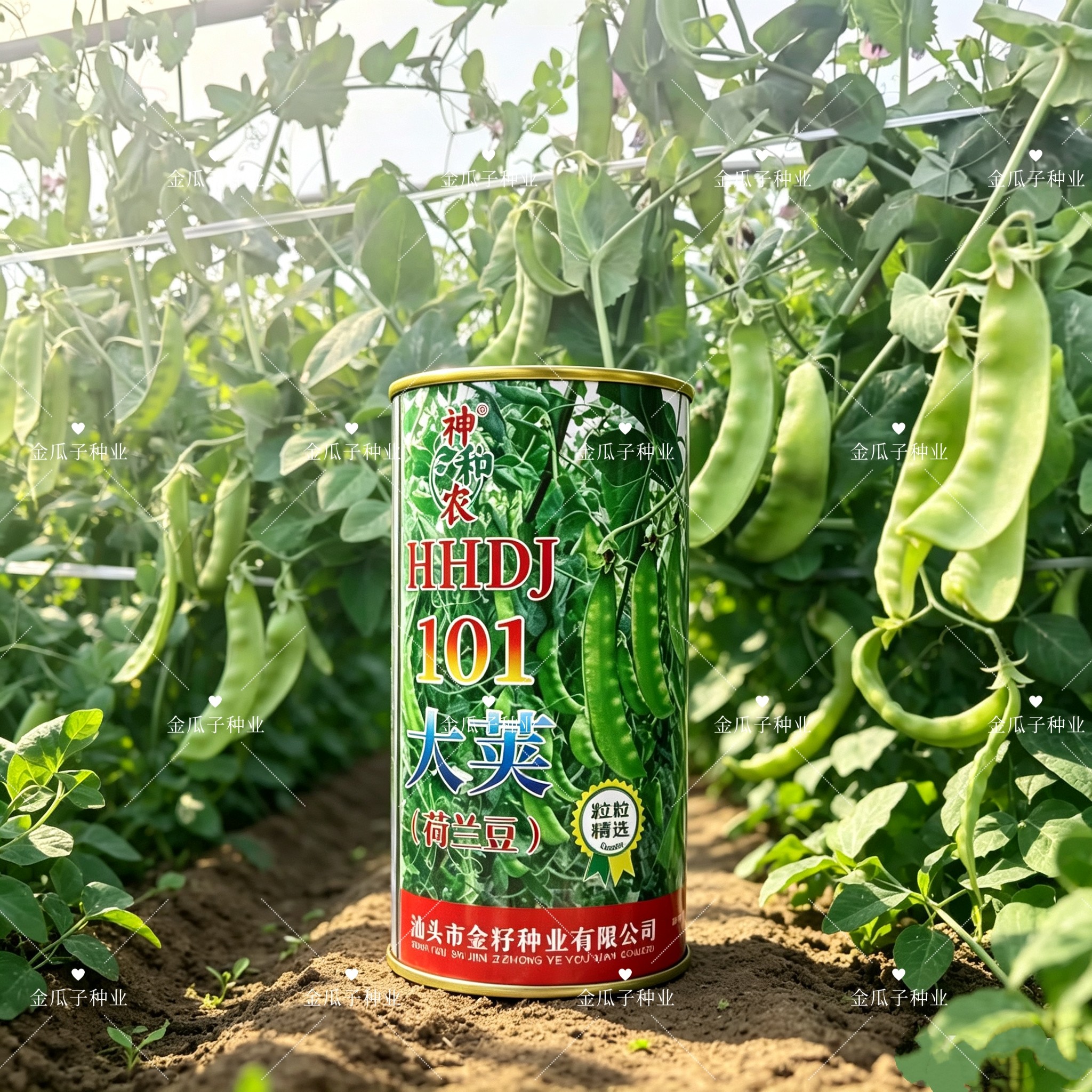 正品101红花大荚荷兰豆种子大荚豌豆种籽红花大荚荷兰豆基地用种