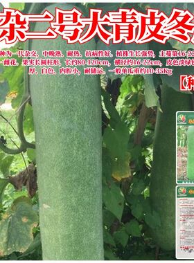 农杂二号大青皮冬瓜种子绿皮黑皮冬瓜籽中晚熟肉厚高产四季蔬菜种