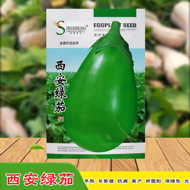西安绿茄早熟抗病高产大果绿茄子