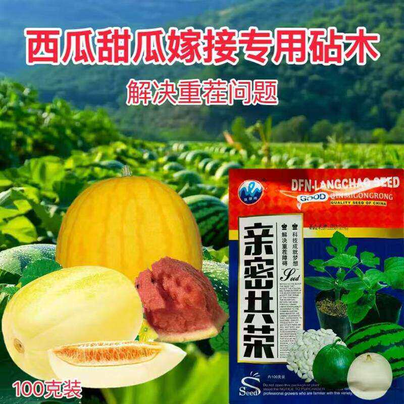 亲密共荣西瓜甜瓜嫁接南瓜种子专用砧木瓜嫁接抗病耐重茬亲和力强