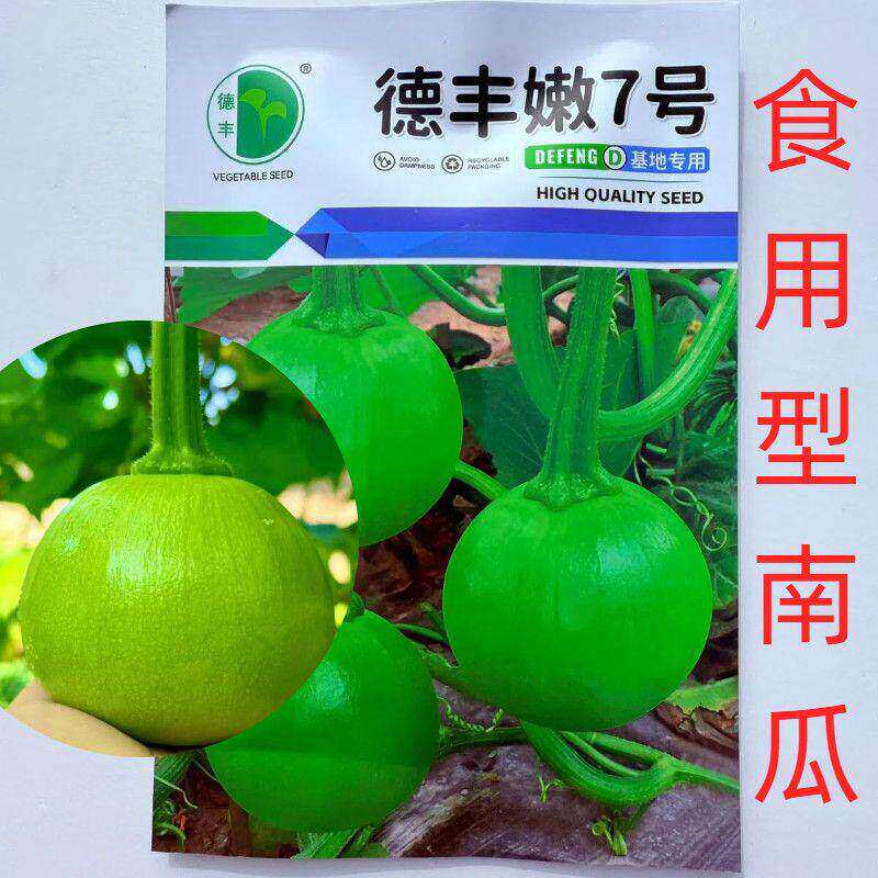 德丰嫩7号嫩瓜食用型南瓜种子早熟圆形坐果能力强产量品种种