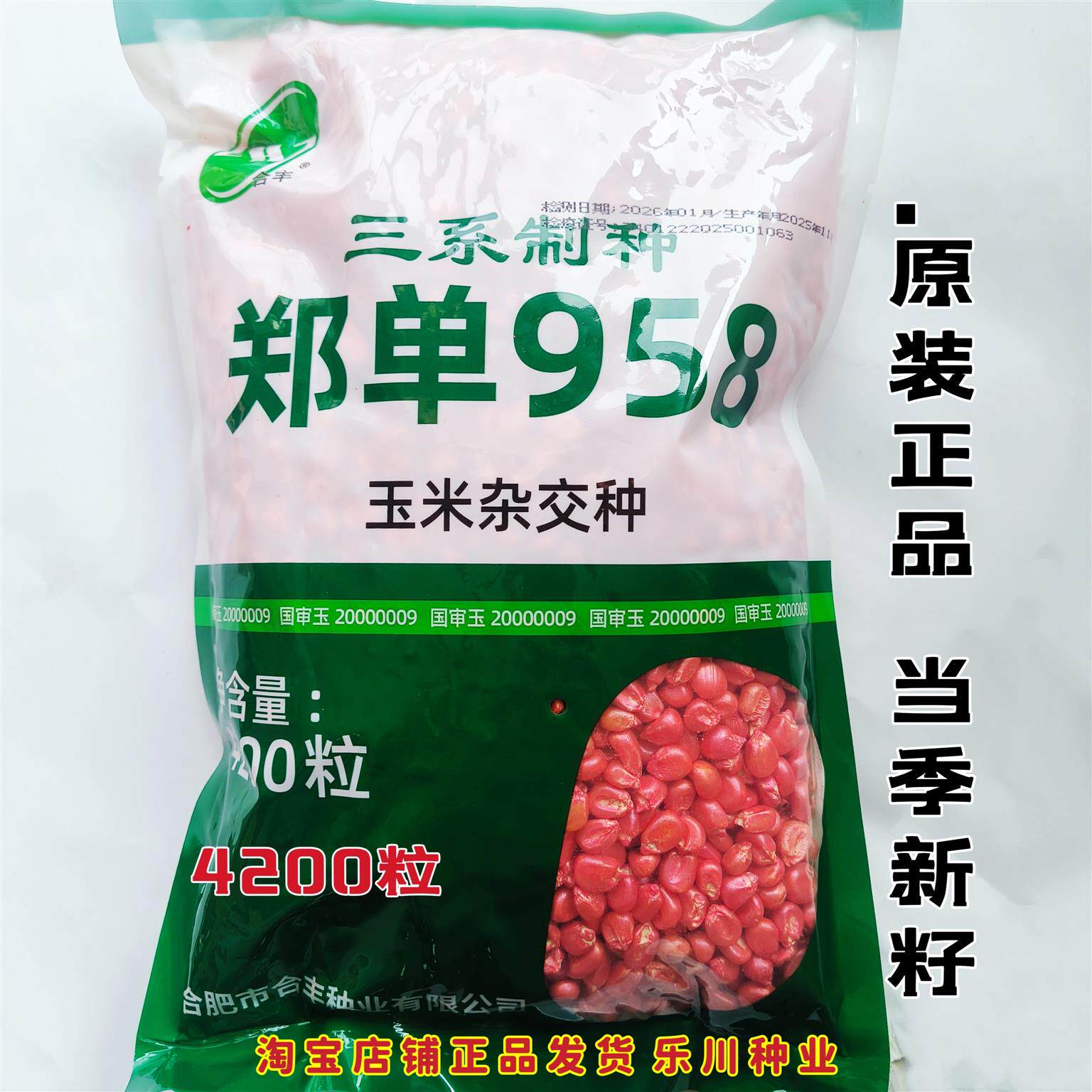 郑单958玉米种籽种子高产大田早熟特大杂交饲料玉米种孑老品种