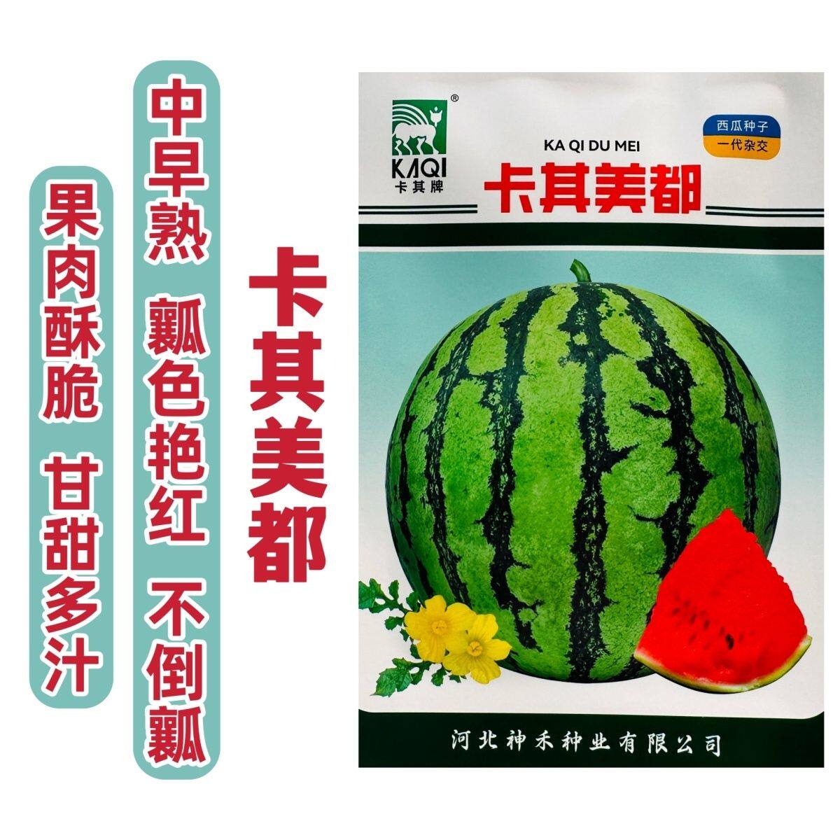 卡其美都西瓜种子少籽超甜水果种子酥脆多汁瓤色艳红杂交西瓜种籽