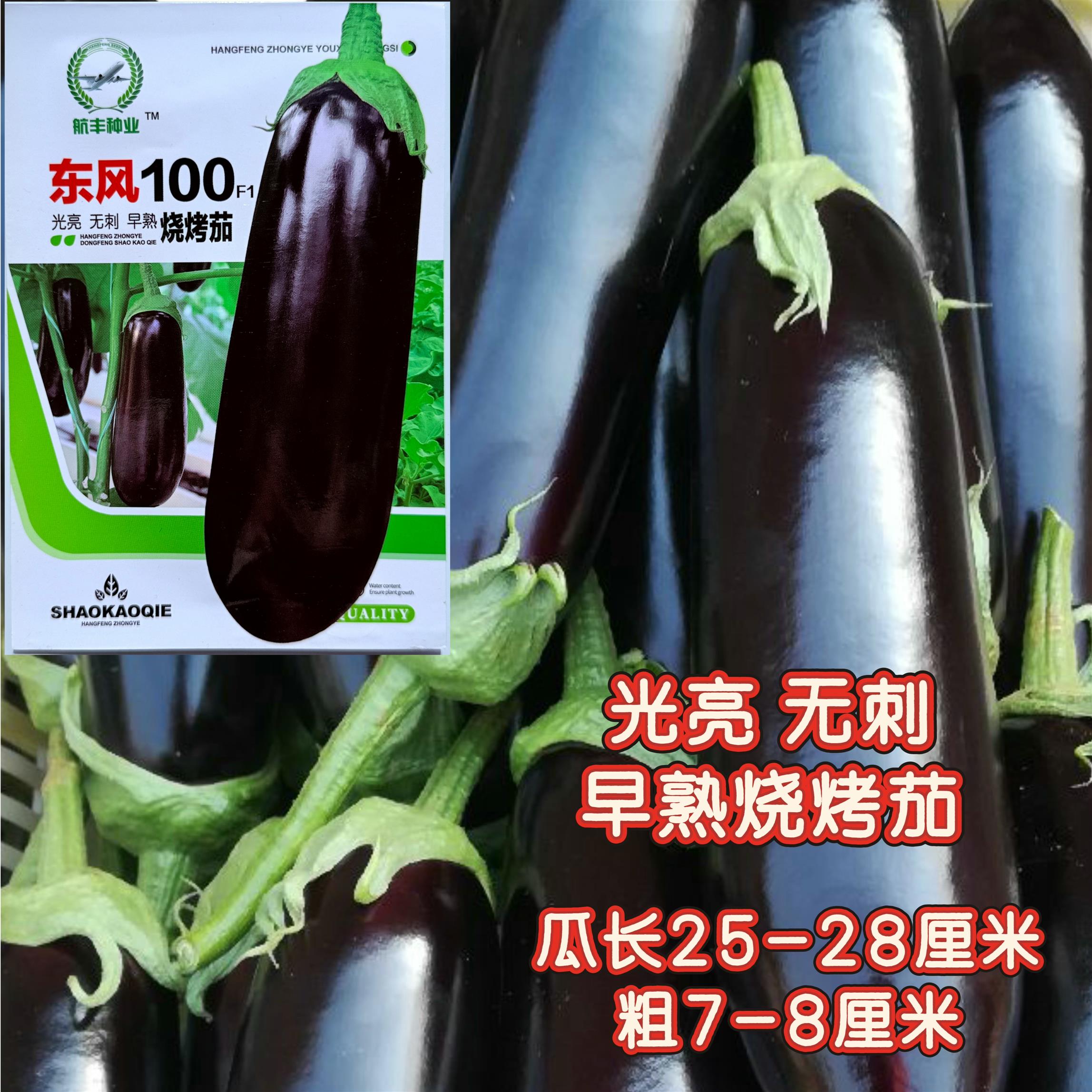 东风100烧烤茄子种子早熟高产抗病长茄种籽农家春秋播蔬菜种籽孑