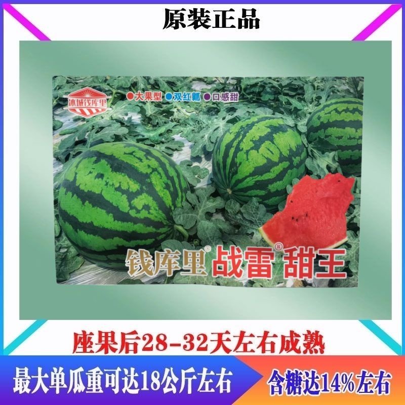 钱库里战雷甜王西瓜种子抗病高产短椭圆形耐裂西瓜种子南北方春播